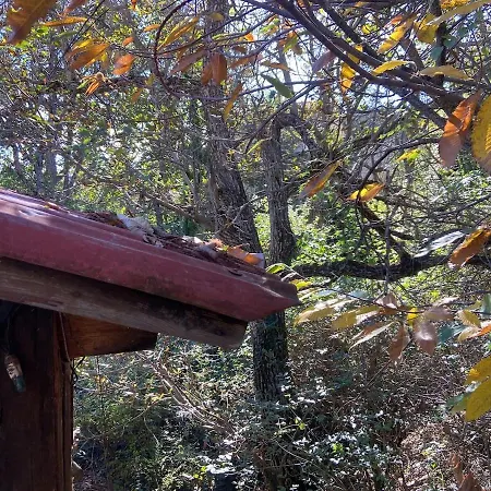 Holiday home η χαρούμενη αρκούδα *