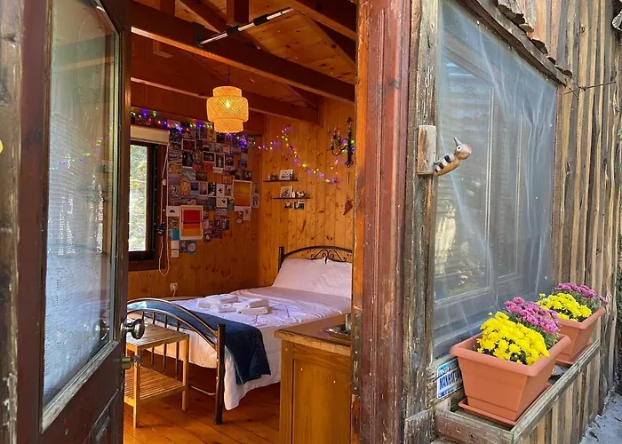 η χαρούμενη αρκούδα * Pavliani