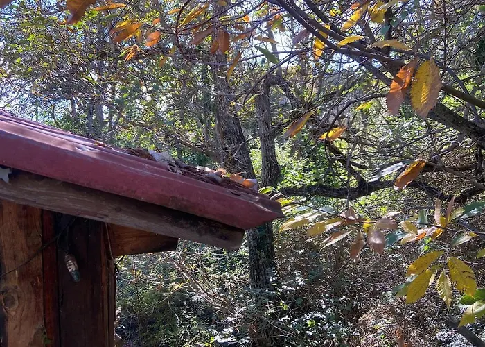 Holiday home η χαρούμενη αρκούδα *